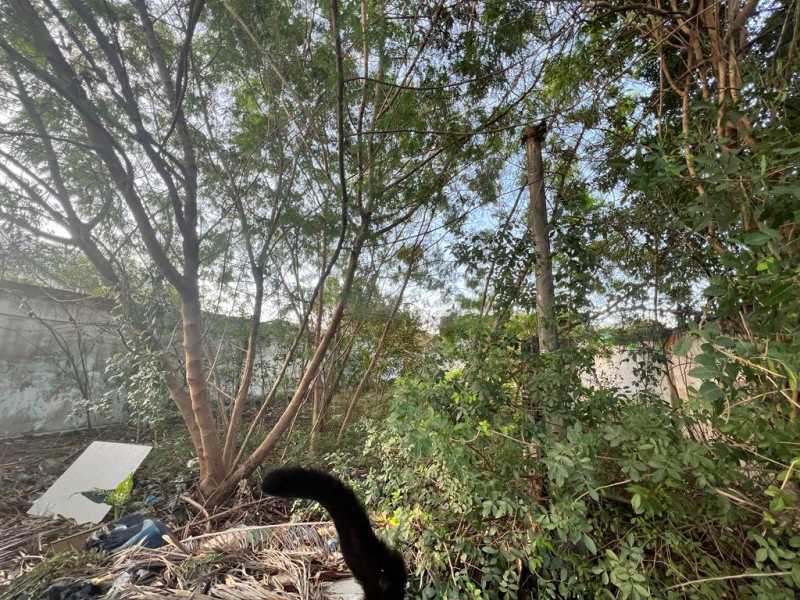 Conheça 2 do imóvel - Terreno Multifamiliar à venda Curicica, Rio de Janeiro - R$ 370.000 - SVMF00014 - 2 2 - 2
