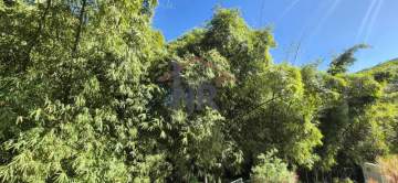 CASA FREGUESIA VISTA LIVRE - NR001642