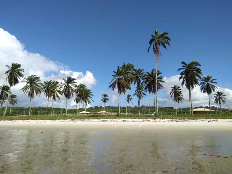 Conheça 24 do empreendimento - Fachada - Costa de Itapema - 81 - 24 24 - 24