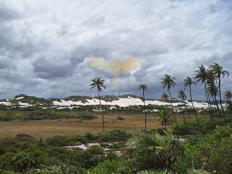 PICN30051 - 5