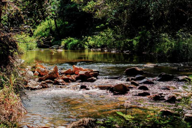 Conheça 9 do imóvel - SÍTIO/POUSADA MOBILIADO E DECORADO, NA CHAPADA DIAMANTINA, IBICOARA - BAHIA - PISI70001 - 9 9 - 9
