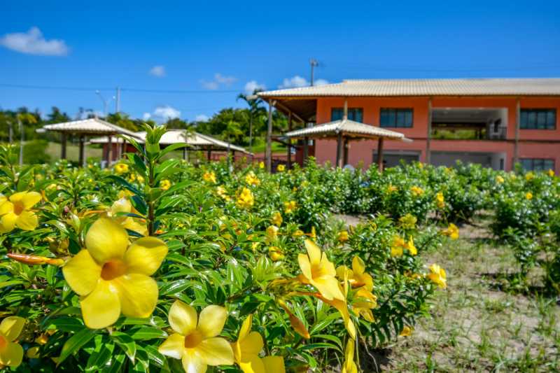 Conheça 4 do imóvel - LOTE/TERRENO 483M² EM COSTA DE ITAPEMA, SANTO AMARO - BAHIA Pronto para construir! - PILT00030 - 4 4 - 4