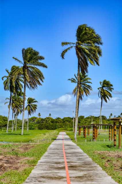Conheça 5 do imóvel - LOTE/TERRENO 483M² EM COSTA DE ITAPEMA, SANTO AMARO - BAHIA Pronto para construir! - PILT00030 - 5 5 - 5