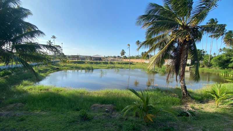 Conheça 23 do imóvel - LOTE 300M² EM COSTA DE ARATUBA - ILHA DE VERA CRUZ, ITAPARICA - BAHIA - PILT00035 - 23 23 - 23