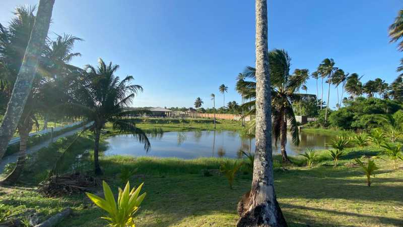 Conheça 26 do imóvel - LOTE 300M² EM COSTA DE ARATUBA - ILHA DE VERA CRUZ, ITAPARICA - BAHIA - PILT00035 - 26 26 - 26