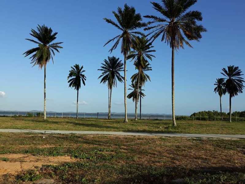 Conheça 4 do imóvel - LOTE 554,99M² NO COND. COSTA DE ITAPEMA - SANTO AMARO BAHIA - PILT00041 - 7 4 - 7