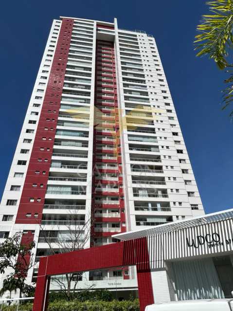PIAP40256 - 25