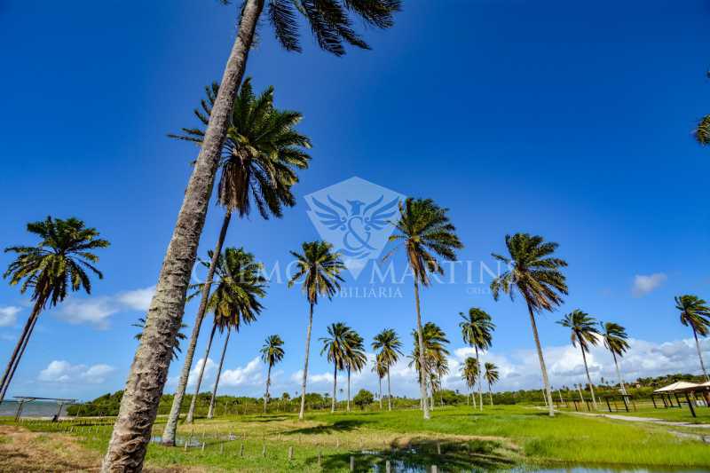 Conheça 7 do imóvel - LOTE DE 462,50M² - COSTA DE ITAPEMA - PILT00004 - 7 7 - 7