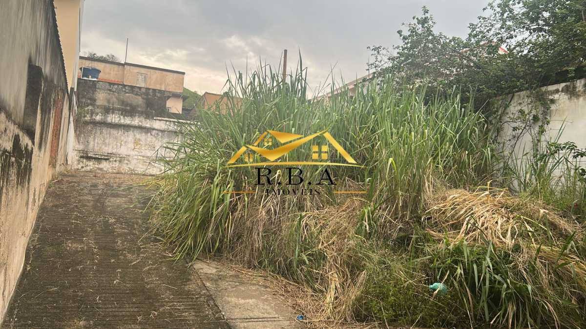 PHOTO-2026-01-26-16-19-52 - 10