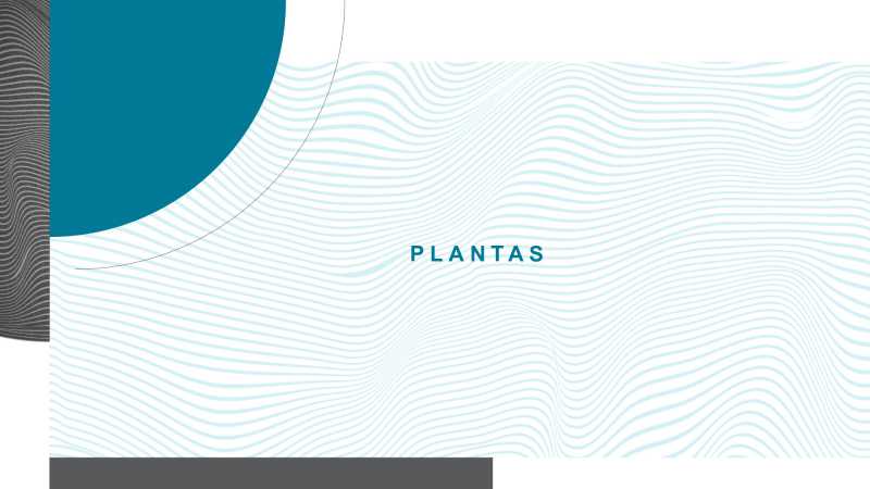 FLOW SANTA ROSA_compressed_pag - 18