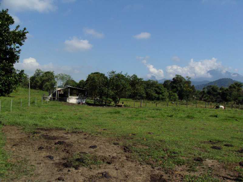 Conheça 11 do imóvel - Sítio 102000m² à venda Zona Rural, Guapimirim - R$ 1.000.000 - 260 - 11 11 - 11
