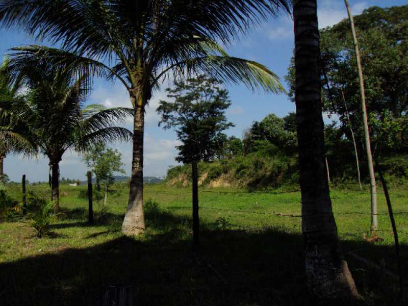 Conheça 12 do imóvel - Sítio 102000m² à venda Zona Rural, Guapimirim - R$ 1.000.000 - 260 - 12 12 - 12