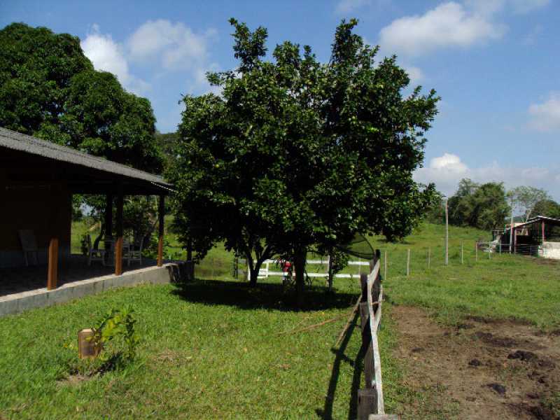 Conheça 14 do imóvel - Sítio 102000m² à venda Zona Rural, Guapimirim - R$ 1.000.000 - 260 - 14 14 - 14