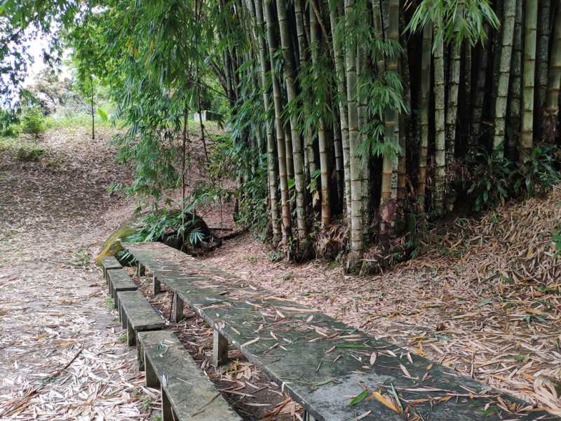 Conheça 21 do imóvel - Casa 4 quartos à venda Zona Rural, Guapimirim - R$ 750.000 - 817 - 21 21 - 21