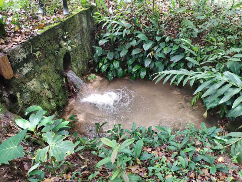 Conheça 24 do imóvel - Casa 4 quartos à venda Zona Rural, Guapimirim - R$ 750.000 - 817 - 24 24 - 24