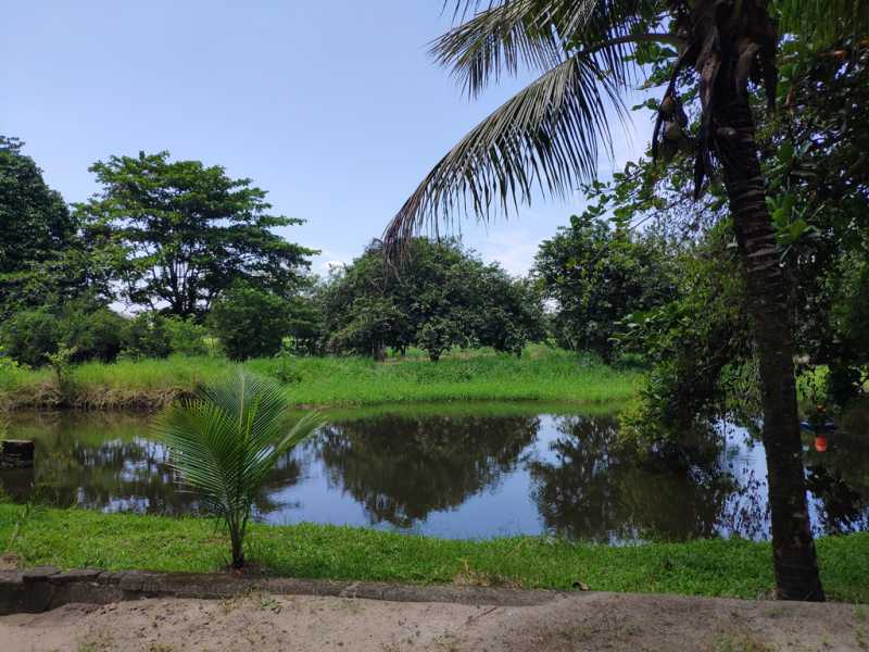Conheça 4 do imóvel - Fazenda 720000m² à venda Zona Rural, Guapimirim - R$ 2.300.000 - 818 - 4 4 - 4
