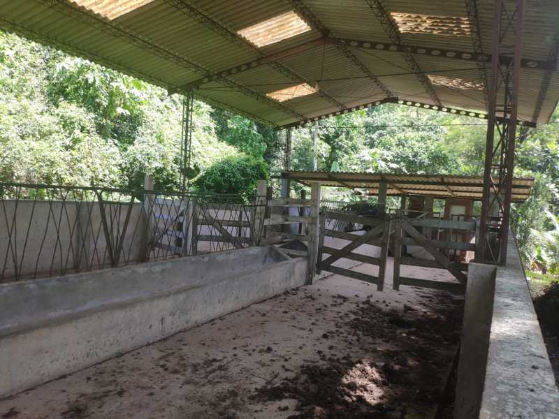 Conheça 25 do imóvel - Fazenda 720000m² à venda Zona Rural, Guapimirim - R$ 2.300.000 - 818 - 24 25 - 24