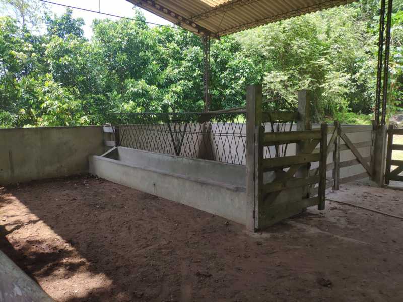 Conheça 26 do imóvel - Fazenda 720000m² à venda Zona Rural, Guapimirim - R$ 2.300.000 - 818 - 25 26 - 25