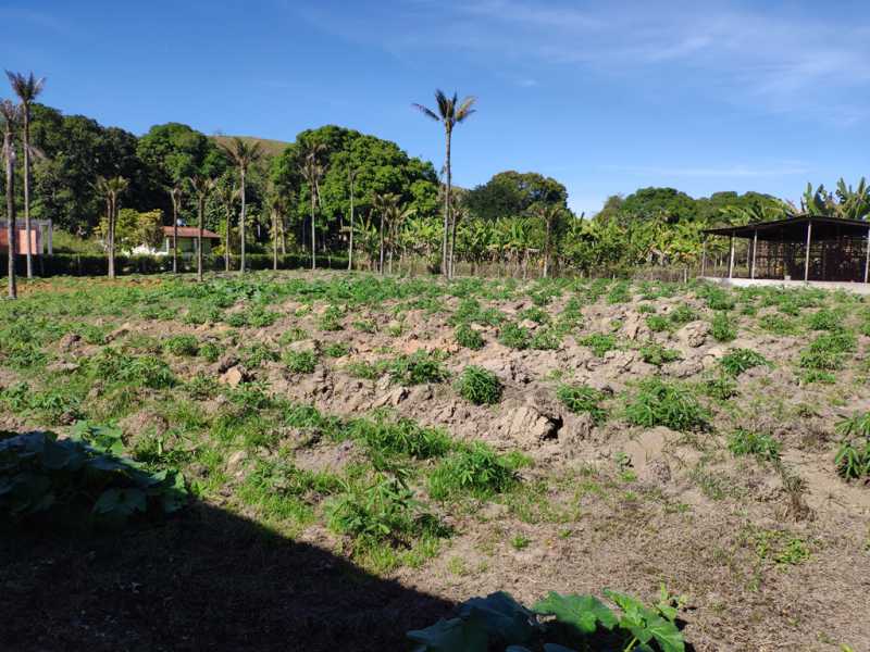 Conheça 25 do imóvel - Sítio 12000m² à venda Zona Rural, Guapimirim - R$ 900.000 - 825 - 25 25 - 25