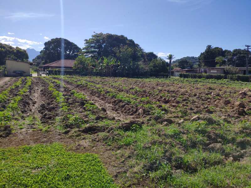 Conheça 26 do imóvel - Sítio 12000m² à venda Zona Rural, Guapimirim - R$ 900.000 - 825 - 26 26 - 26