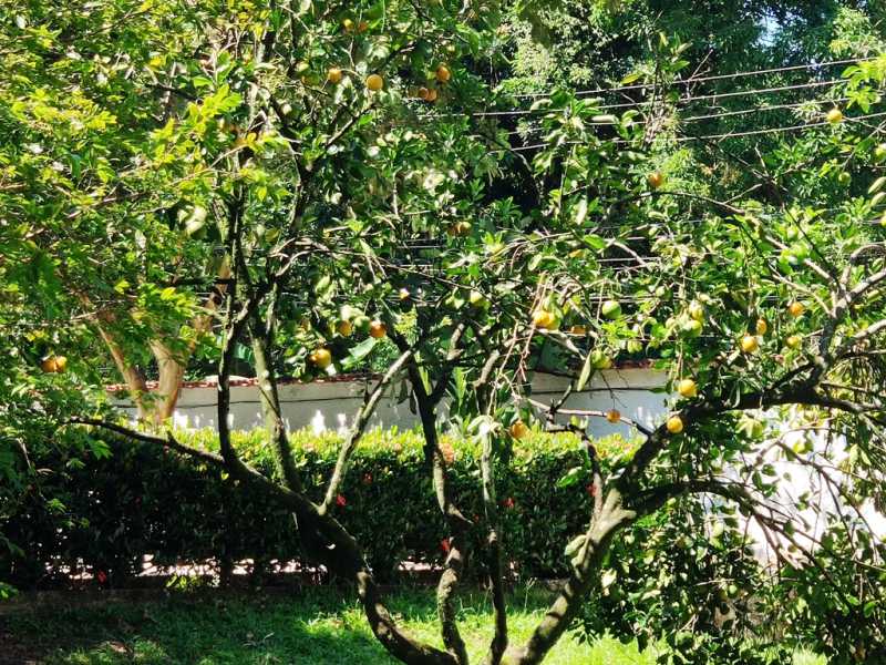 Conheça 25 do imóvel - Casa 5 quartos à venda Quinta Mariana, Guapimirim - R$ 1.450.000 - 833 - 25 25 - 25