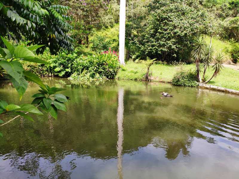 Conheça 18 do imóvel - Sítio 271040m² à venda Cantagalo, Guapimirim - R$ 2.650.000 - 836 - 18 18 - 18