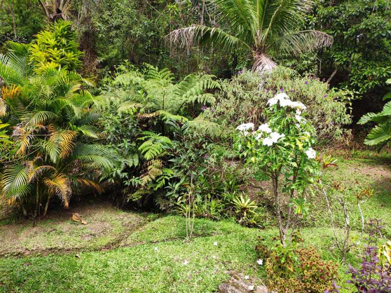 Conheça 21 do imóvel - Sítio 271040m² à venda Cantagalo, Guapimirim - R$ 2.650.000 - 836 - 21 21 - 21