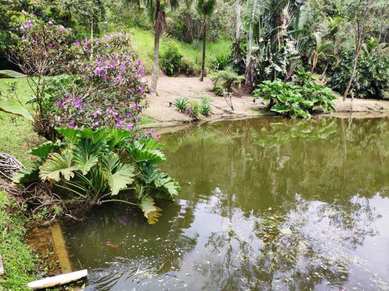 Conheça 22 do imóvel - Sítio 271040m² à venda Cantagalo, Guapimirim - R$ 2.650.000 - 836 - 22 22 - 22