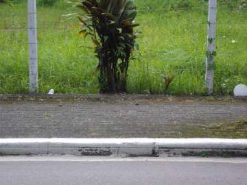 Junto ao Comércio - Lote à venda Parada Modelo, Guapimirim - R$ 200.000 - 837
