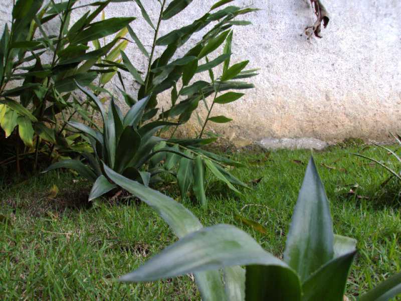 Conheça 1 do imóvel - Terreno Residencial à venda Cidade Jardim Guapimirim, Guapimirim - R$ 90.000 - 838 - 1 1 - 1