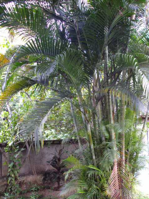 Conheça 3 do imóvel - Terreno Residencial à venda Cidade Jardim Guapimirim, Guapimirim - R$ 90.000 - 838 - 3 3 - 3
