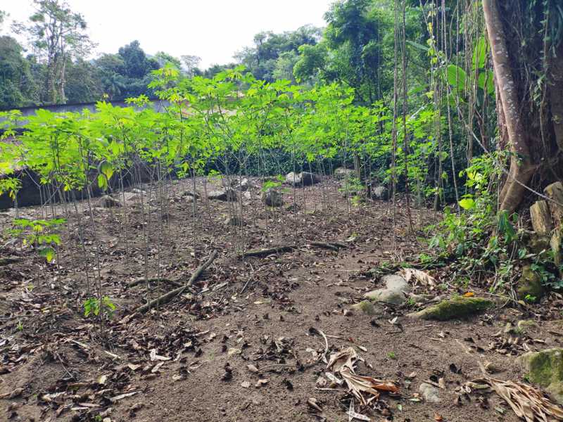 Conheça 19 do imóvel - Casa em Condomínio 3 quartos à venda Cantagalo, Guapimirim - R$ 800.000 - 848 - 18 19 - 18