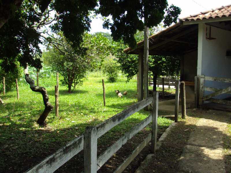 Conheça 27 do imóvel - Sítio 30000m² à venda Cantagalo, Guapimirim - R$ 650.000 - 520 - 27 27 - 27