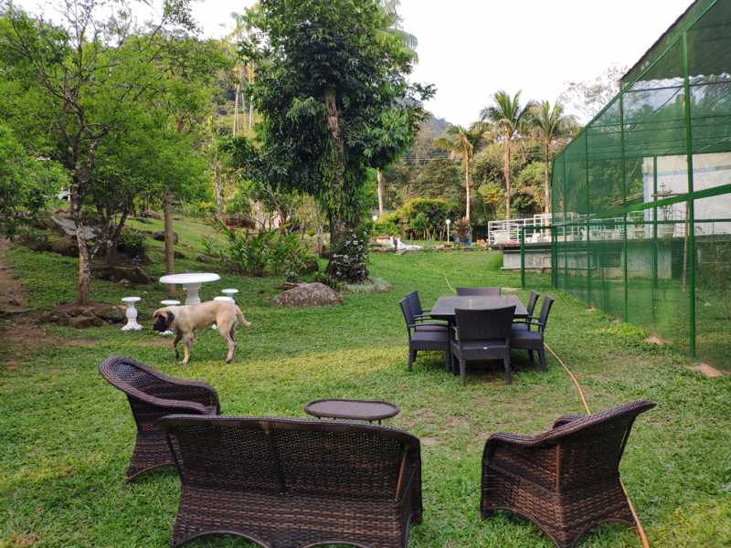 Conheça 32 do imóvel - Sítio 6500m² à venda Corujas, Guapimirim - R$ 1.500.000 - 754 - 23 32 - 23