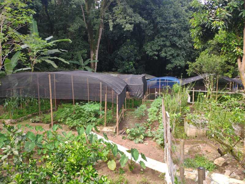 Conheça 33 do imóvel - Sítio 6500m² à venda Corujas, Guapimirim - R$ 1.500.000 - 754 - 24 33 - 24