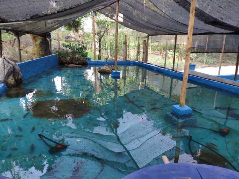 Conheça 35 do imóvel - Sítio 6500m² à venda Corujas, Guapimirim - R$ 1.500.000 - 754 - 26 35 - 26