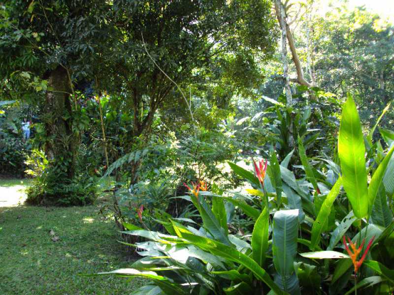 Conheça 13 do imóvel - Casa 3 quartos à venda Serra de Teresópolis, Guapimirim - R$ 1.100.000 - 743 - 13 13 - 13