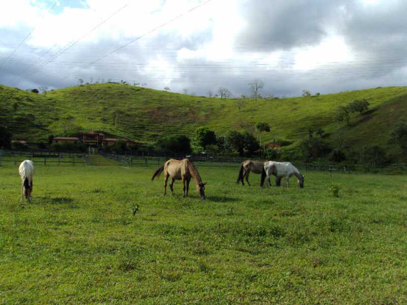 DSC02805 - 19
