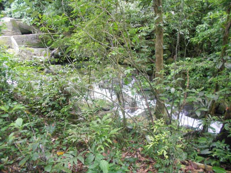 Conheça chacara_guapimirim_701_0048 do imóvel - Sítio 1240000m² à venda Cantagalo, Guapimirim - R$ 1.800.000 - 701 - 24 chacara_guapimirim_701_0048 - 24