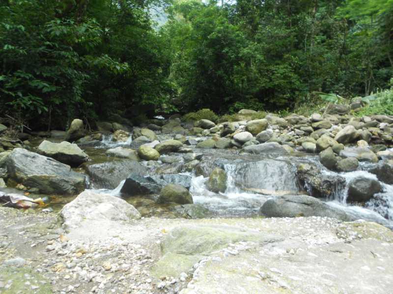 Conheça chacara_guapimirim_701_0053 do imóvel - Sítio 1240000m² à venda Cantagalo, Guapimirim - R$ 1.800.000 - 701 - 26 chacara_guapimirim_701_0053 - 26