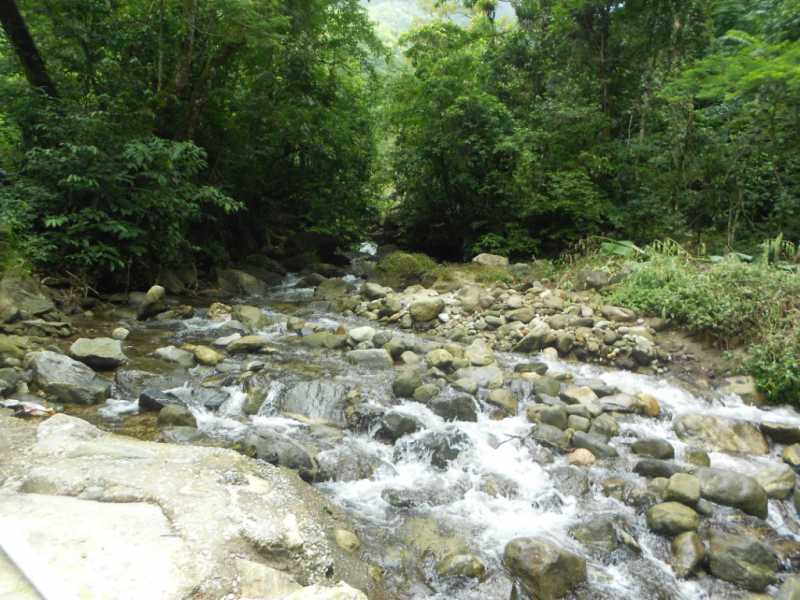 Conheça chacara_guapimirim_701_0056 do imóvel - Sítio 1240000m² à venda Cantagalo, Guapimirim - R$ 1.800.000 - 701 - 27 chacara_guapimirim_701_0056 - 27