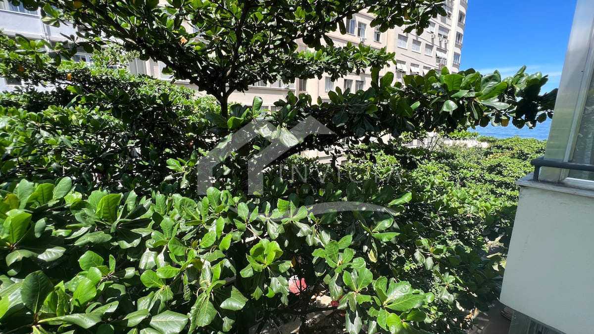 WhatsApp Image 2025-11-14 at 1 - 3