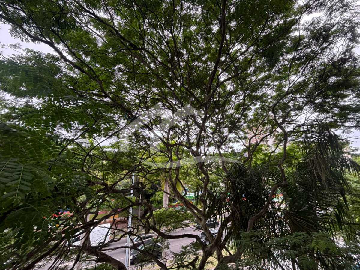 WhatsApp Image 2026-01-07 at 1 - 26