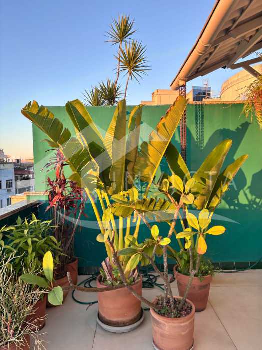 73faca1f-c95f-49ac-9c1f-4b879c - 4