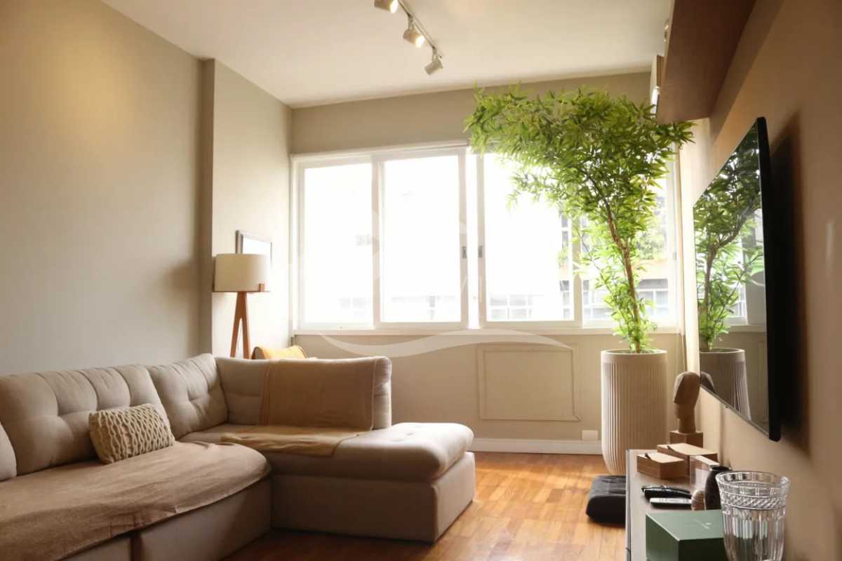 WhatsApp Image 2026-01-23 at 1 - 3