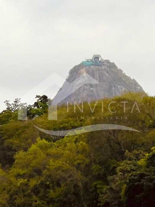 WhatsApp Image 2026-01-29 at 1 - 17