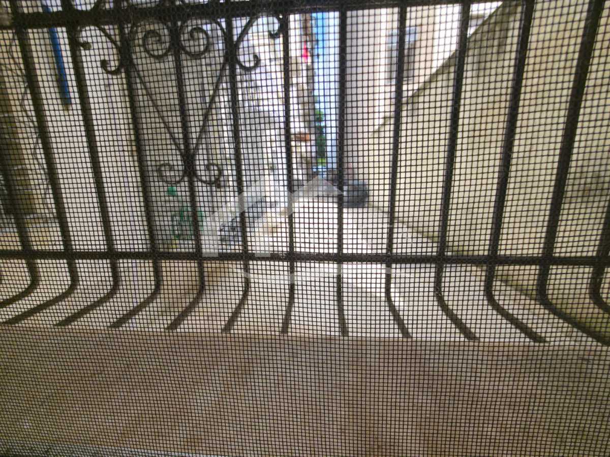 WhatsApp Image 2026-03-19 at 0 - 8