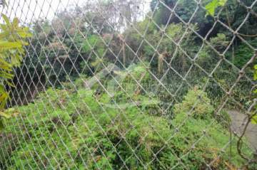 Ótima localização - MARAVILHOSO 3 QUARTOS COM VISTA VERDE NA AV. PASTEUR - BTAP30108