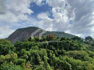 Imperdível - MARAVILHOSO CONJUGADO COM VISTA VERDE!!!! - FLAP10067