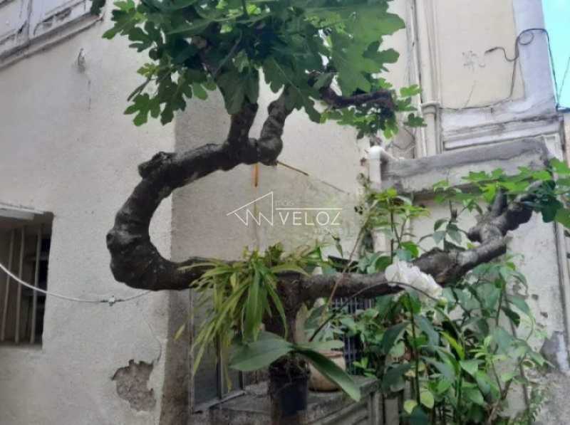 117548_G1749649811_cleanup_11z - 21